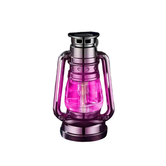 （Butane Gas NOT Contained) Creative Horse Lantern Mood Light Lighter